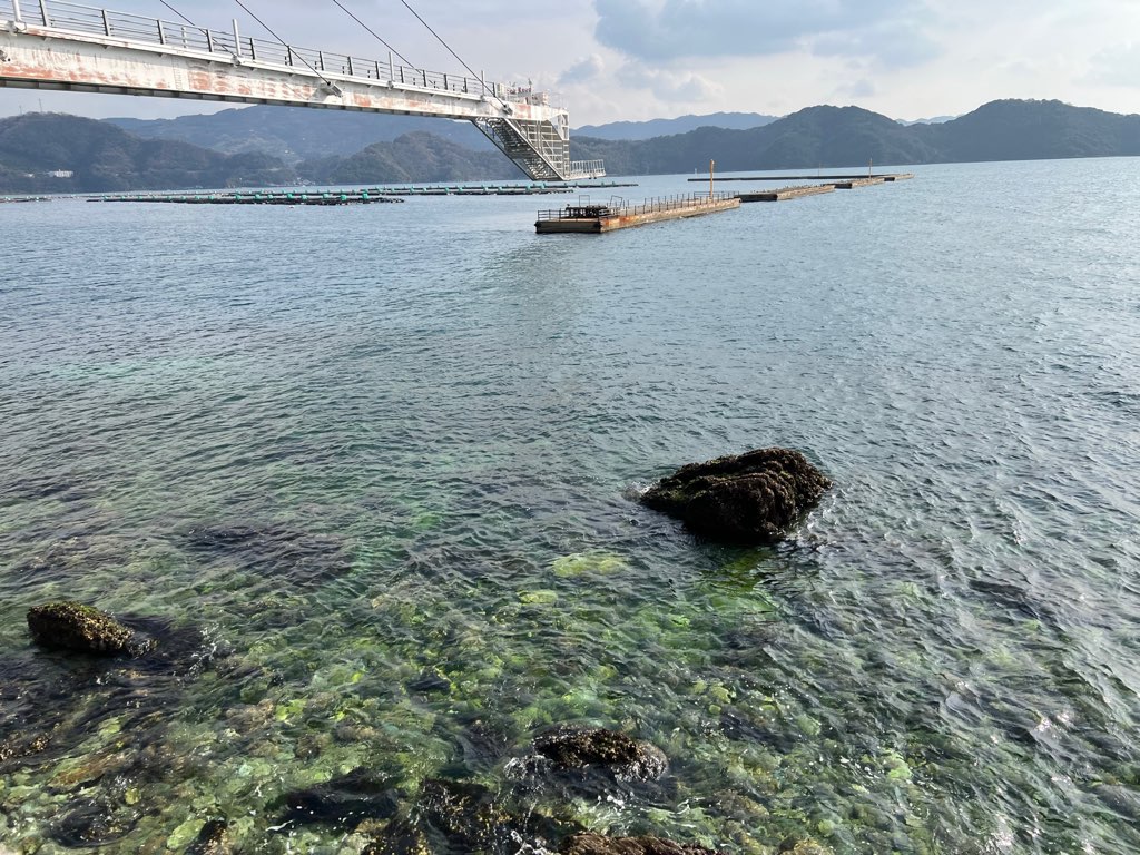 お魚牧場　八幡浜