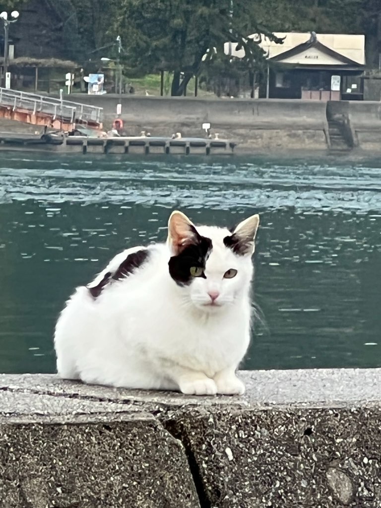 北条　招き猫