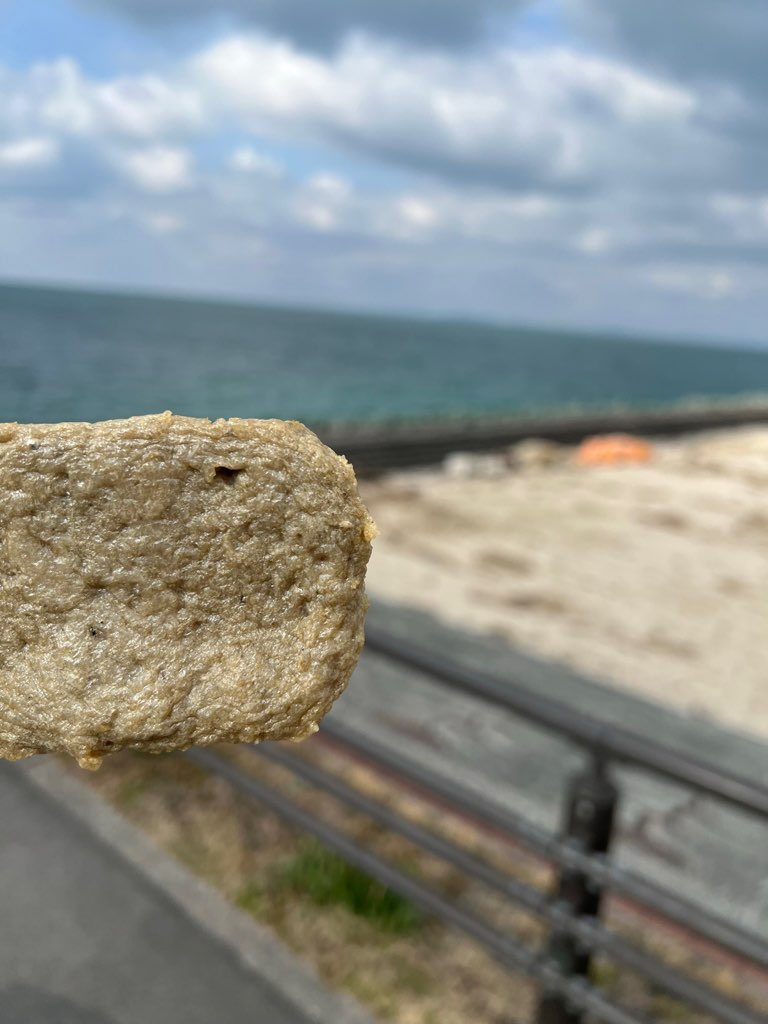 海とじゃこ天